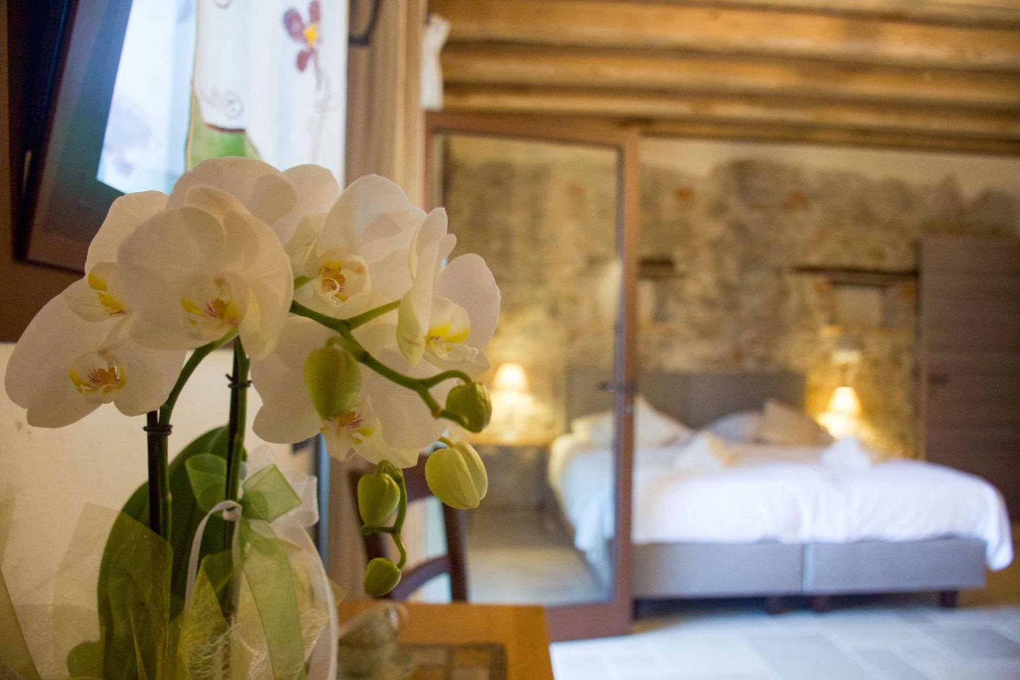 Agriturismo La Pina Tarzo Exteriér fotografie