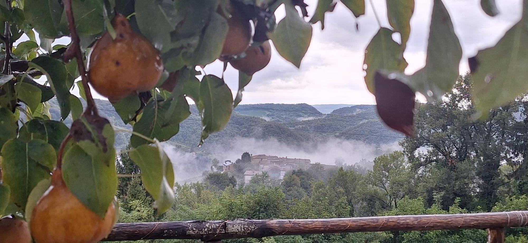 Agriturismo La Pina Tarzo Exteriér fotografie
