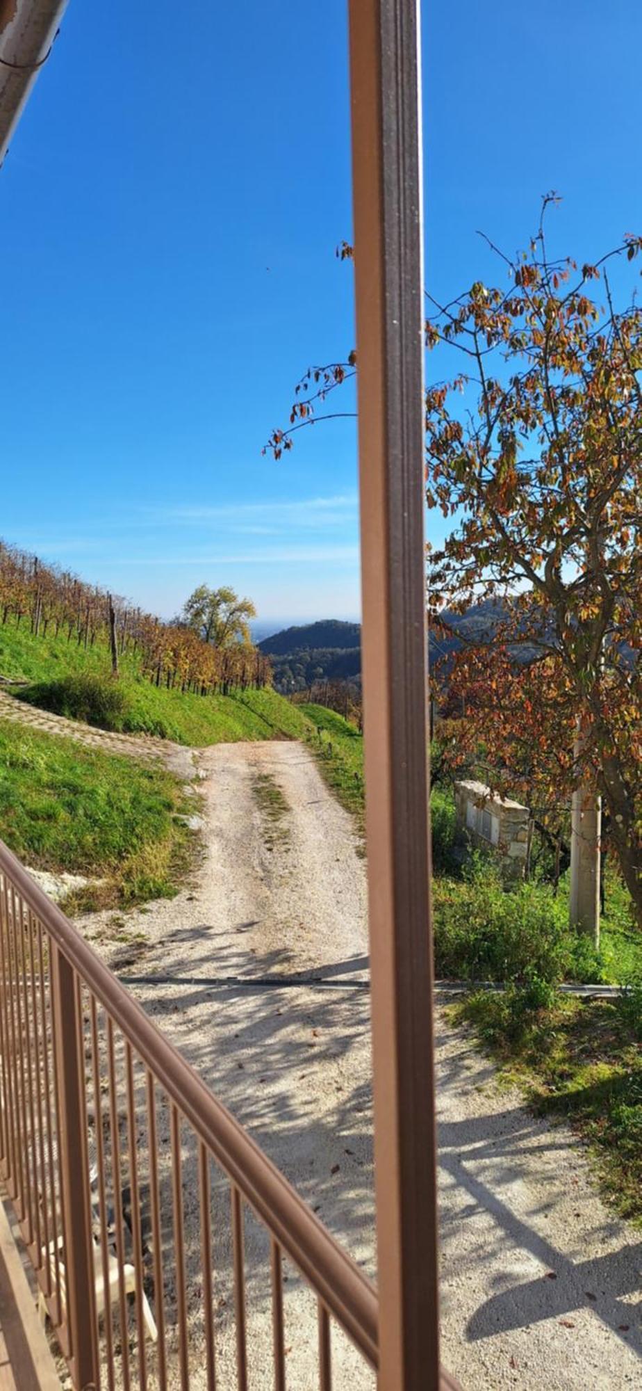 Agriturismo La Pina Tarzo Exteriér fotografie