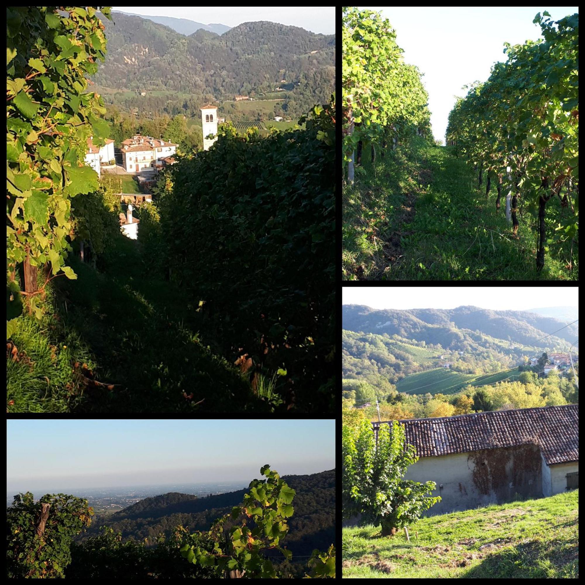 Agriturismo La Pina Tarzo Exteriér fotografie